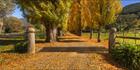 Golden Lane - VIC T (PBH4 00 13885)